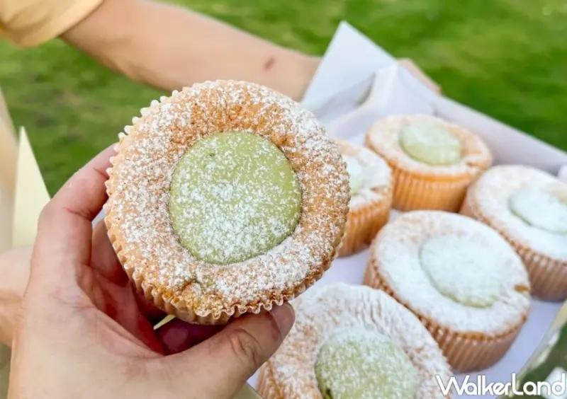 好市多開心果蛋糕！好市多新品開心果迷你戚風蛋糕，內外爆餡開心果醬必吃。