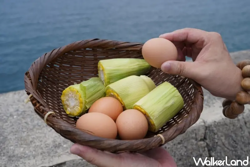 長崎小浜溫泉美食名店！海鮮市場蒸し釜や  用地熱蒸海鮮，一次吃遍海味。