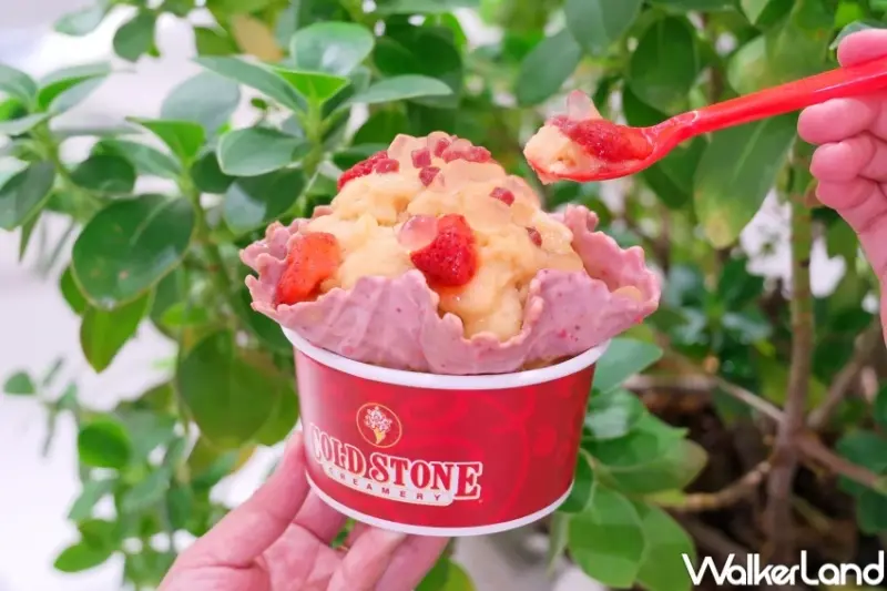 買一送一！COLD STONE聯名立頓蜜桃冰茶雪貝，7-11限定一口冰必吃。
