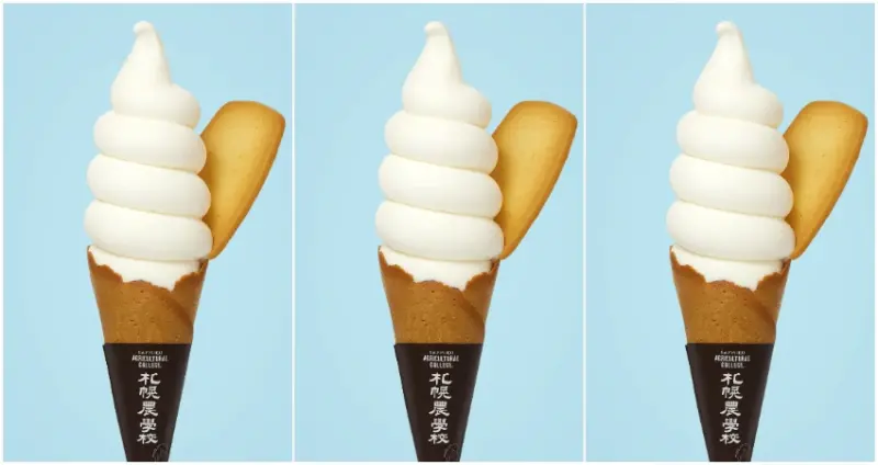 2025年北海道新千歲機場冰淇淋大賞出爐，超過30種口味激戰，冠軍就是這個口味。