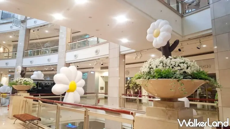 台北101雛菊裝置藝術掛上去了！GD粉絲一定要搶先朝聖拍照。