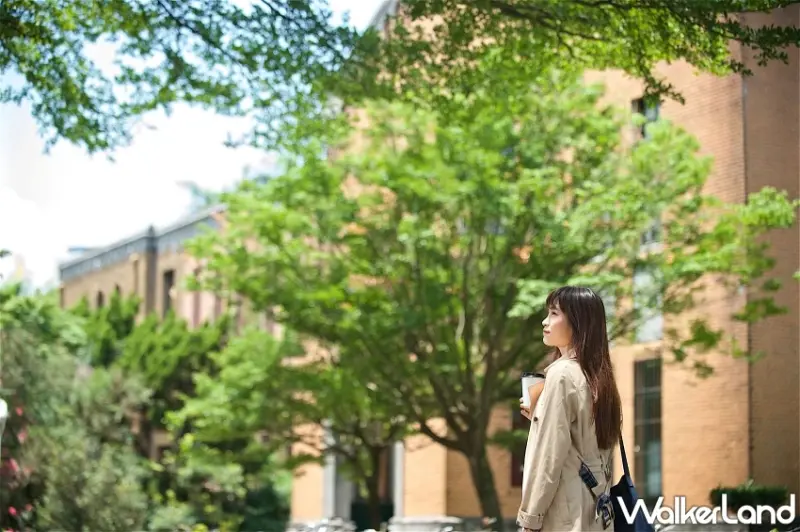 大稻埕煙火節住房優惠開搶！捷絲旅西門館臺大館「雙人微醺專案」，看煙火住飯店再送啤酒。