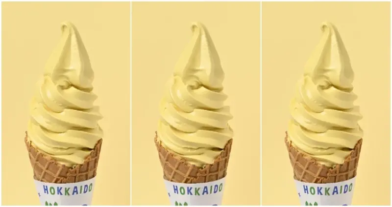 2025年北海道新千歲機場冰淇淋大賞出爐，超過30種口味激戰，冠軍就是這個口味。