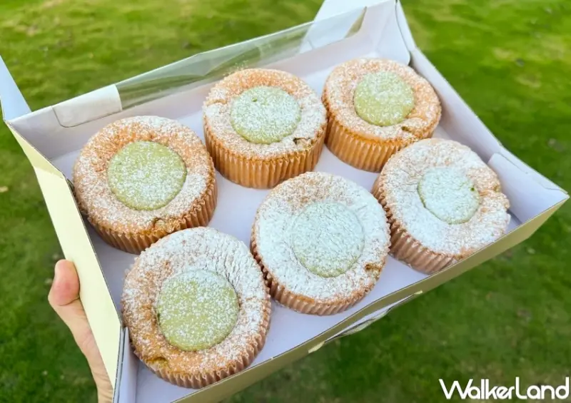 好市多開心果蛋糕！好市多新品開心果迷你戚風蛋糕，內外爆餡開心果醬必吃。