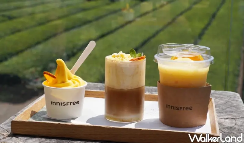 濟州島免費景點！Osulloc雪綠茶博物館 遼闊綠茶園美景超好拍，濟州限定伴手禮買起來。