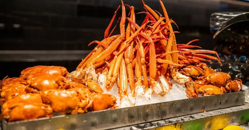 島語高雄店1萬座位5分鐘秒殺！吃到飽最難訂位Buffet，再創吃到飽新話題。