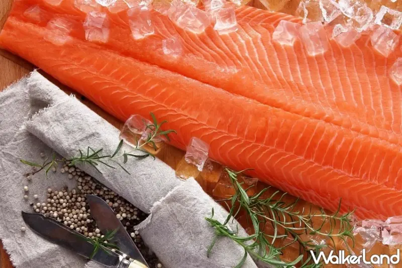 鮭魚刺身68元！美威鮭魚信義店7/25開幕，現切鮭魚磚下殺900元、再加碼送鮭魚握壽司。