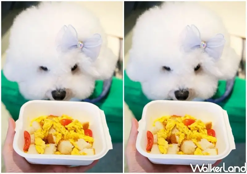 西門町咖啡早午餐！LOST and Found二店插旗萬華，寵物友善送寵物餐。