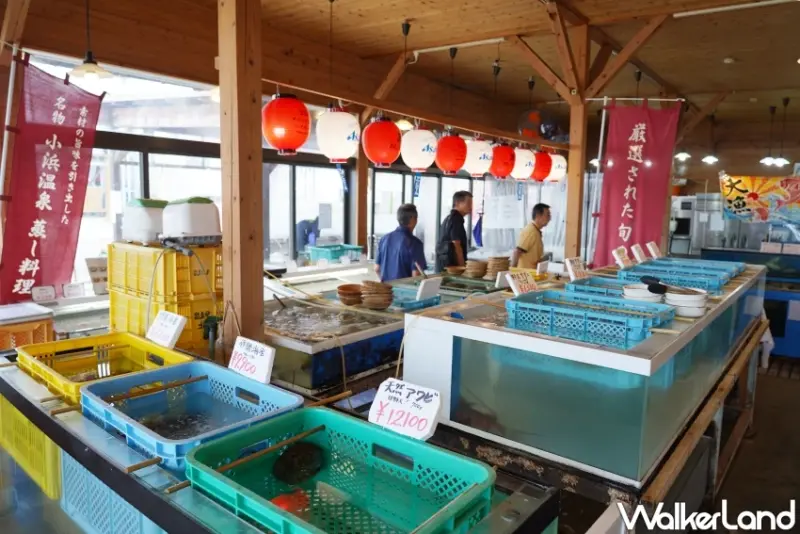 長崎小浜溫泉美食名店！海鮮市場蒸し釜や  用地熱蒸海鮮，一次吃遍海味。