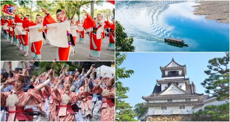 燦星旅遊攜手高知，獨家【日本夏日祭典】高知夜來祭雙路線行程。