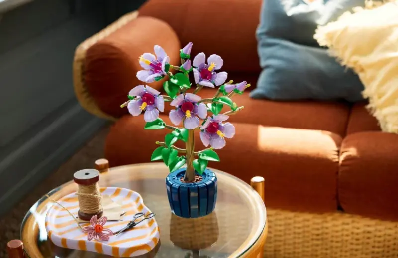 大人系樂高新品，不凋紫扶桑花、銀杏、紫藤盆栽等療癒系植物樂高新上市。