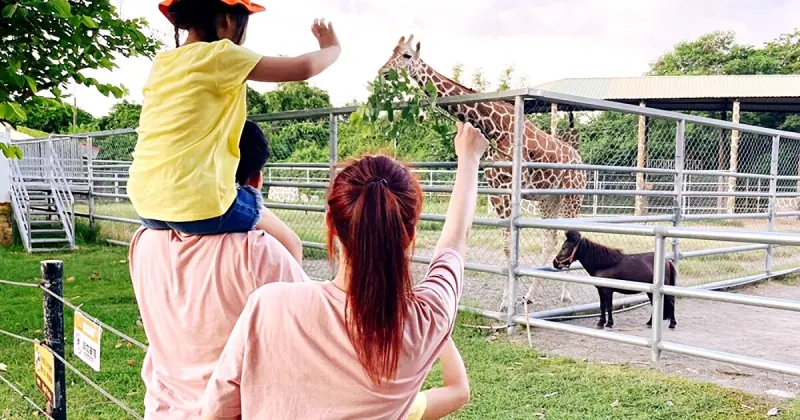 暑假台南親子旅遊必看！和逸飯店西門館一站式體驗，主題餐飲、科學活動與高鐵7折優惠一次滿足。