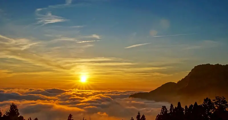 暑假親子旅遊必訪！阿里山賓館部落探險住房專案，帶你走進得恩亞納與冠軍茶園。