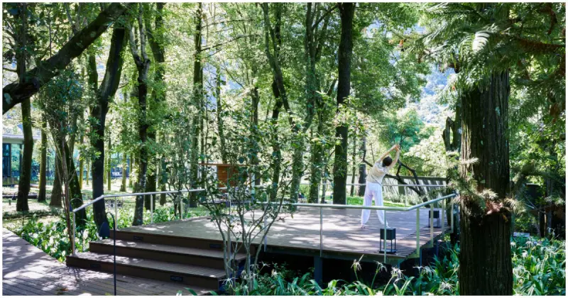 只接待一組客人！虹夕諾雅 谷關秋季養生限定「五感療癒」兩天一夜行程。