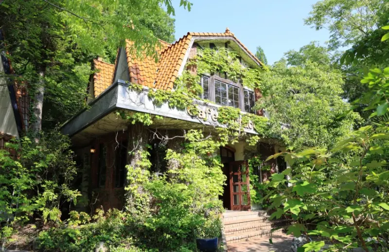 廣島世羅森林與花卉的繪本博物館咖啡廳全新開幕，治癒香草茶和巧克力絕對驚艷。