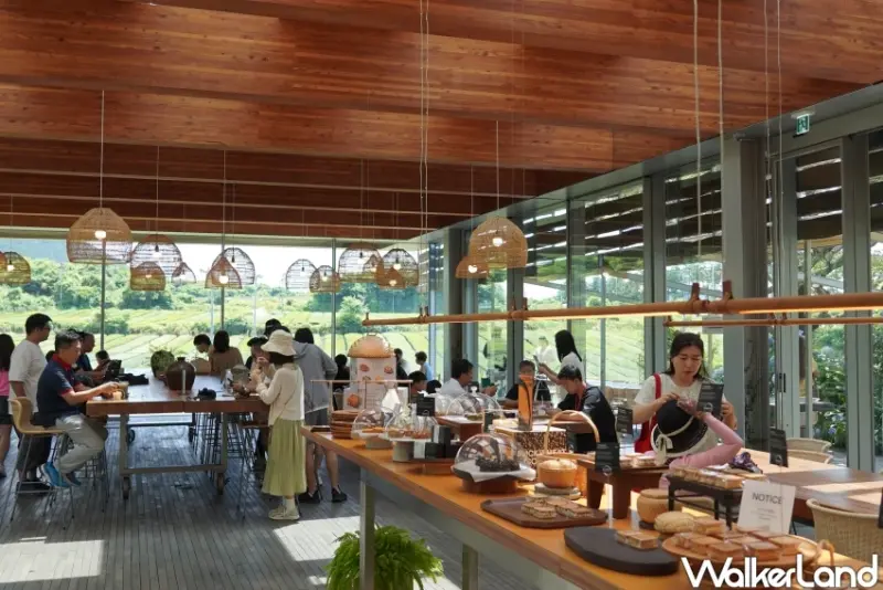 濟州島免費景點！Osulloc雪綠茶博物館 遼闊綠茶園美景超好拍，濟州限定伴手禮買起來。