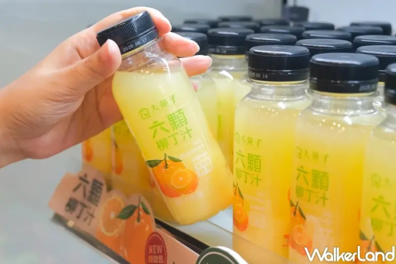 起床早餐喝這杯！大苑子「羽衣甘藍5蔬果汁」早餐系飲品推薦，夏季必喝西瓜椰子在一起。