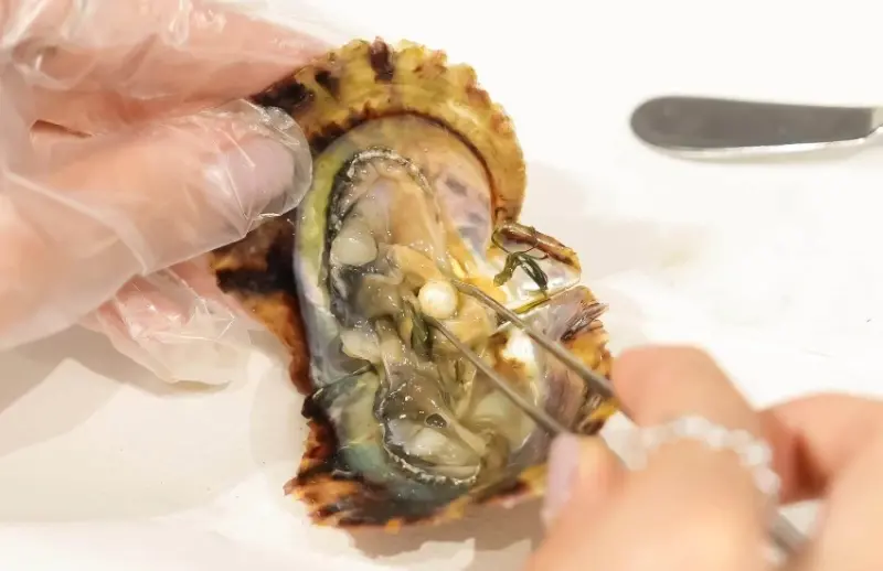 神戶átoa沉浸式藝術水族館絢爛煙火演出，還有可愛水獺造型甜點子組合。