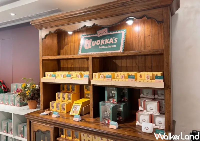 矮袋鼠快閃店！AIPXA中山站快閃店，DINOTAENG郵差系列 GD貓Zoa接續快閃。