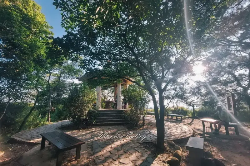 新竹芎林一日遊！飛鳳山步道健行路線，小森之歌夢幻愜意野餐。 / 部落客「貪吃猴」提供