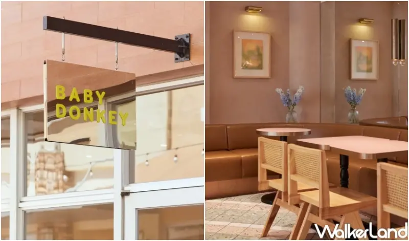 桃園早午餐新歡！BABY DONKEY 野驢兒全天早午餐開吃，鬆餅香蕉雞胸貝果吃爆。