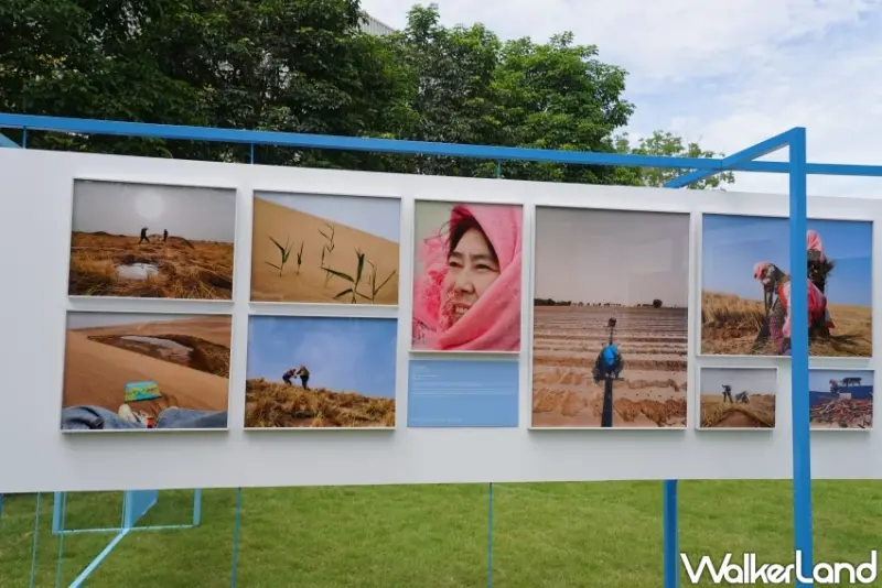 vivo手機翻轉人生！田鼠大嬸從沙漠走向鎂光燈，用vivo捕捉農務日常。