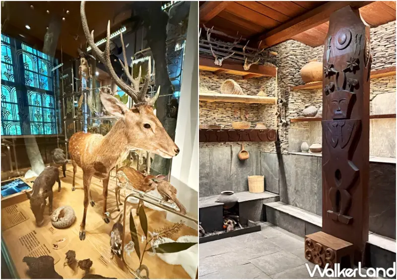 台北室內景點30元玩2館！臺灣博物館恐龍化石超逼真，雨天遛小孩CP值超高。