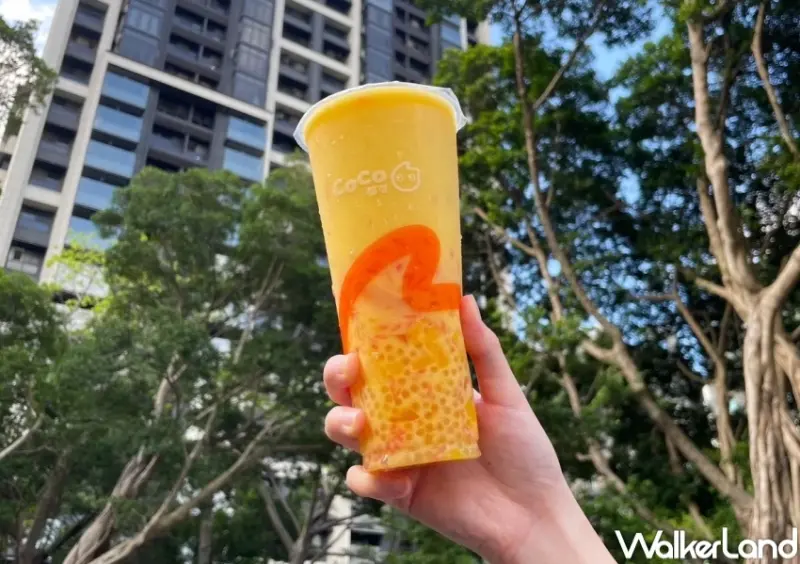 CoCo買一送一！一日限定CoCo楊枝甘露買一送一，芒果控飲料先約喝。