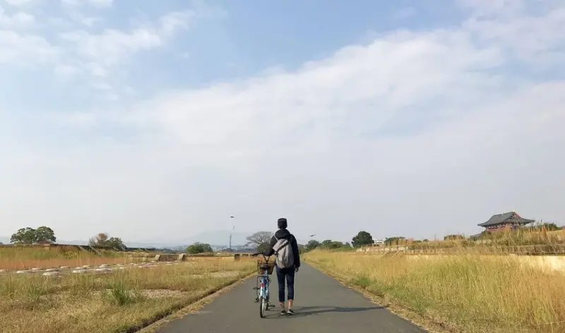 關西鐵道小旅行！從大阪出發，只要車程一小時就能到的京都、嵐山、宇治、奈良、神戶、姬路6座城市。