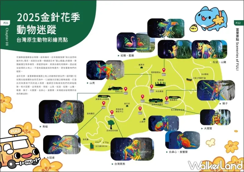 2025花蓮金針花季開跑！六十石山、赤科山看金色花海，玉里、富里順遊。 / 花蓮縣政府 提供、WalkerLand窩客島整理