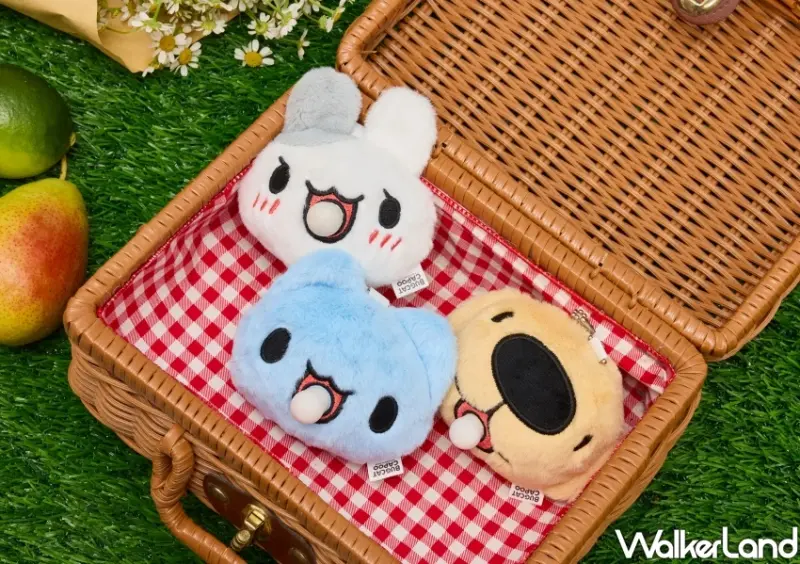 康是美咖波送你！17款咖波加價購搶看，69元咖波衝康是美入手。