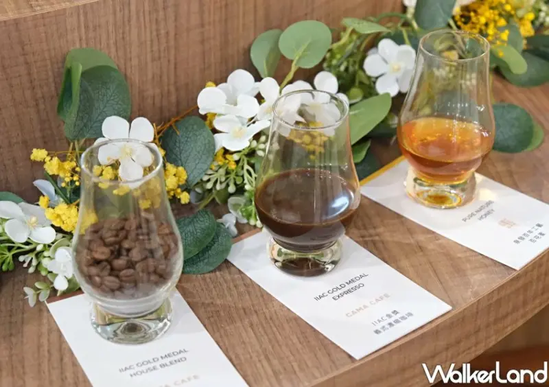 上班族喝CAMA新聯名！3款百年泉發蜂蜜奶霜，咖啡 紅茶特調提神救星喝。