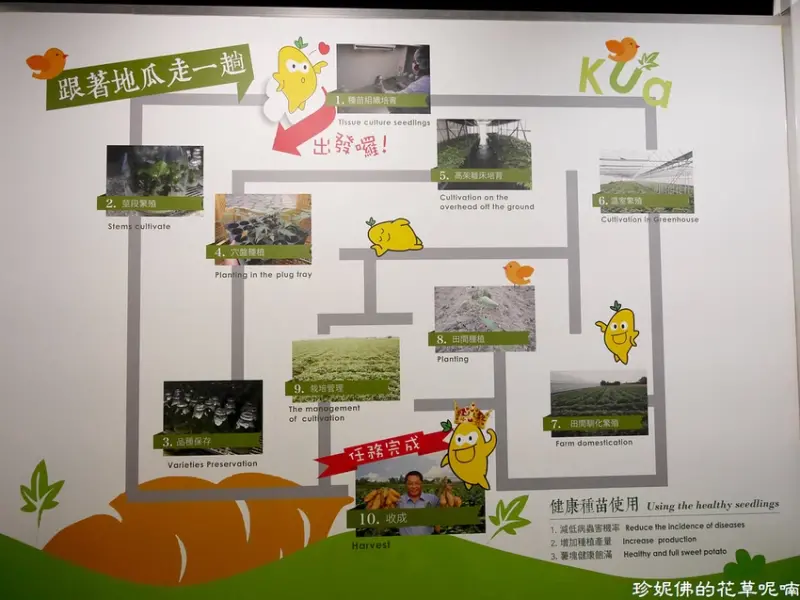 台南必去5大觀光工廠景點！把握暑假尾聲，一次收藏起來。