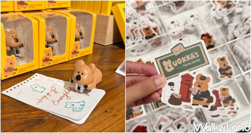 矮袋鼠快閃店！AIPXA中山站快閃店，DINOTAENG郵差系列 GD貓Zoa接續快閃。