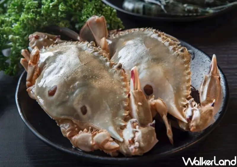 秋蟹吃到飽！千葉火鍋螃蟹九孔鮑魚吃到飽，再加碼哈根達斯冰淇淋無限吃。
