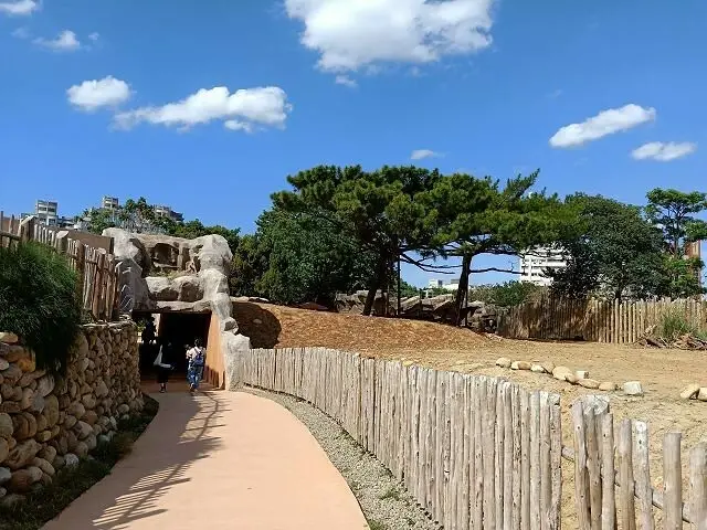 暑假兒童免費入園！新竹動物園周邊景點一日遊，親子出遊好吃又好玩 / 部落客「寶小銘」 提供