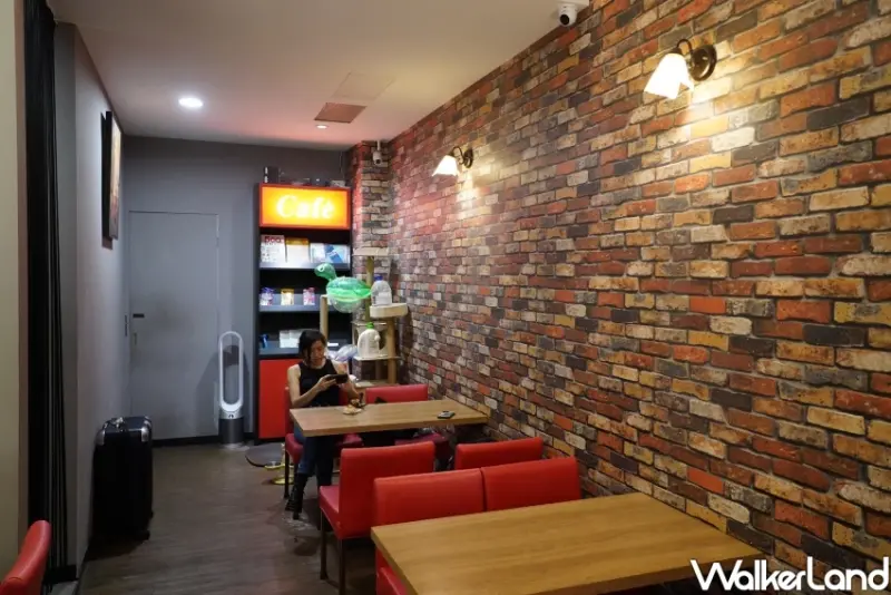 台中火車站貓咪咖啡廳！誰的貓咖啡Say Meow 鄰近日曜天地，兩隻店貓陪你喝咖啡。