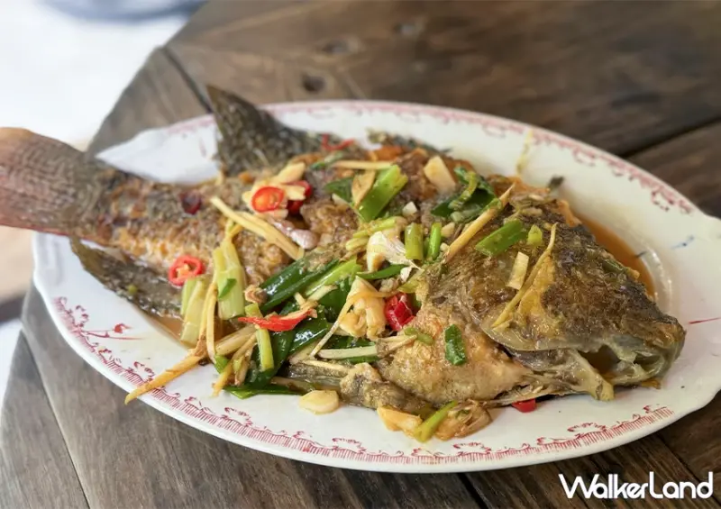 金山隱藏版美食餐廳！三重橋小吃部 山泉鱸魚、自家放山雞必點，復古老厝超有氛圍感。