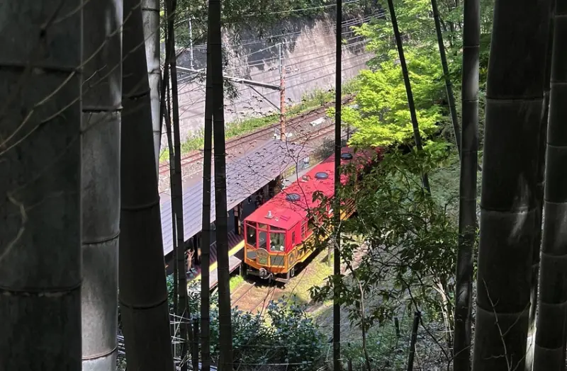 關西鐵道小旅行！從大阪出發，只要車程一小時就能到的京都、嵐山、宇治、奈良、神戶、姬路6座城市。