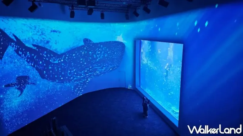 台中海洋館順遊推薦！梧棲漁港啖海鮮、高美濕地看美景，享受吹海風的一天。 / 編輯 沈若瑄 攝影