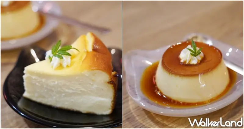 台中火車站貓咪咖啡廳！誰的貓咖啡Say Meow 鄰近日曜天地，兩隻店貓陪你喝咖啡。