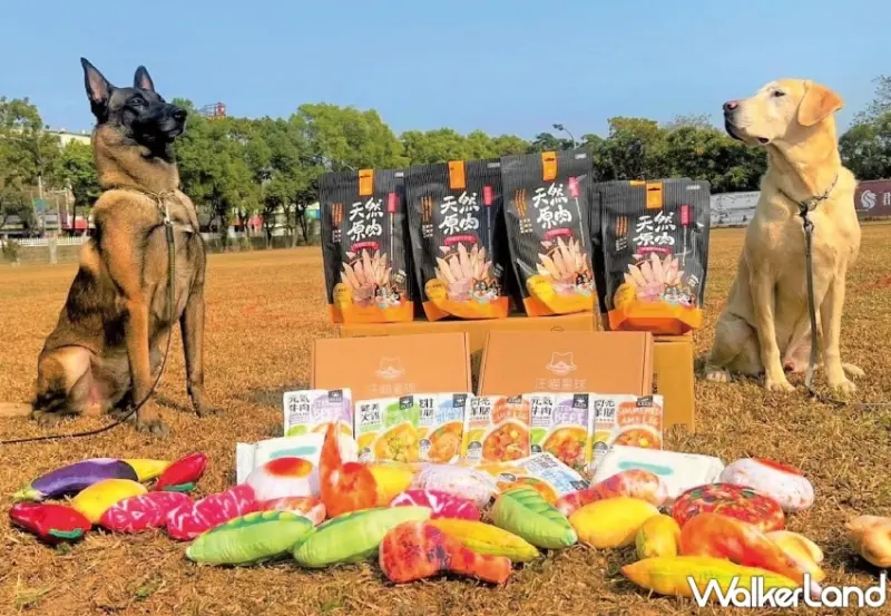 帶毛孩看棒球不是夢！桃園市政府與樂天桃猿聯手打造新景點，全台第一座棒球場寵物樂園正式啟用，讓球迷與毛孩同樂。