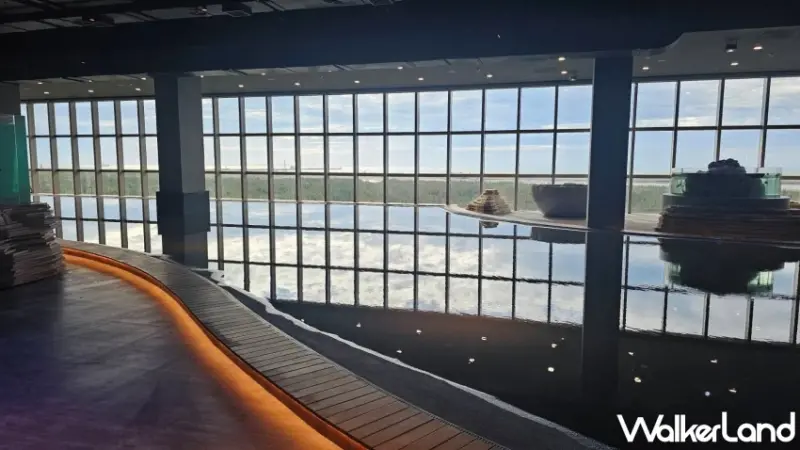 台中海洋館試營運！8大展區參觀路線公開，2小時沉浸式體驗海洋世界。