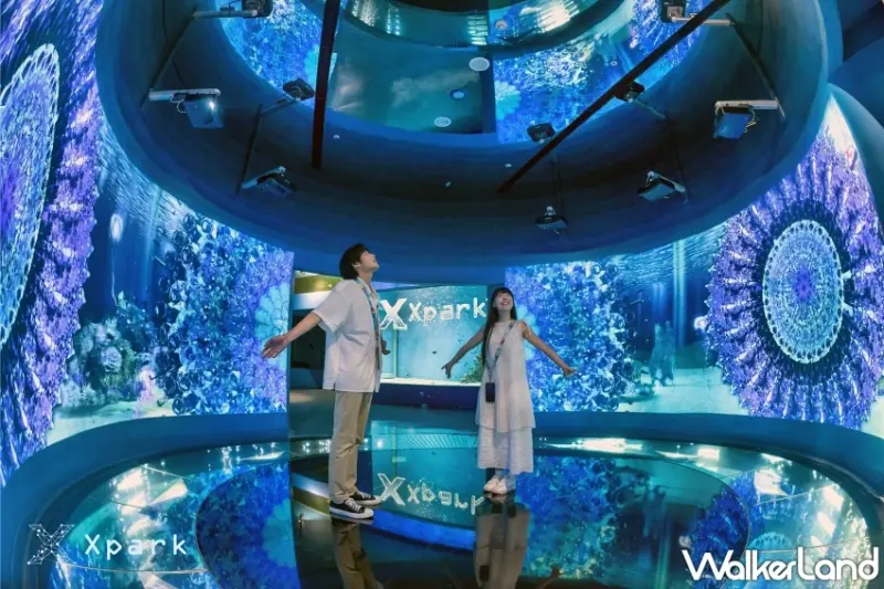 Xpark5週年門票下殺5折！全新「潛浸海洋」光影展搶先看，再加碼桃園市民卡最強攻略。