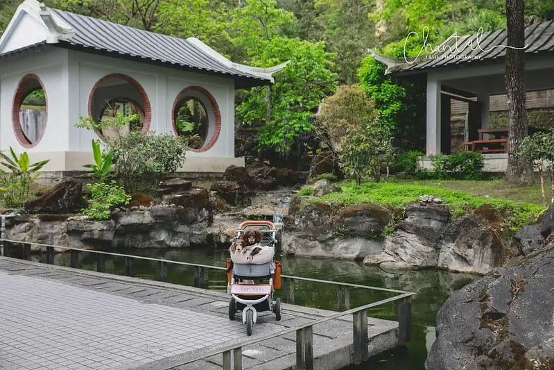 新北坪林區茶香一日遊，順遊坪林老街、坪林茶葉博物館。