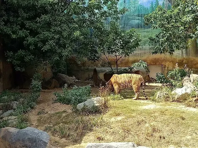 暑假兒童免費入園！新竹動物園周邊景點一日遊，親子出遊好吃又好玩 / 部落客「寶小銘」 提供