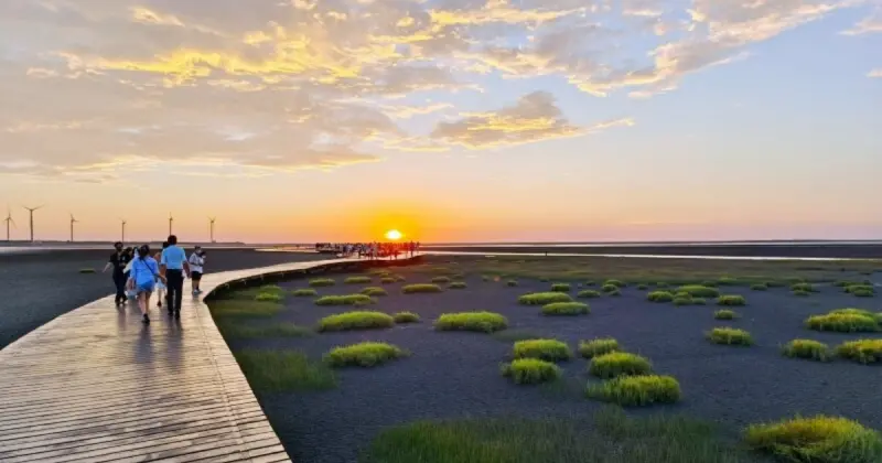 台中海洋館順遊推薦！梧棲漁港啖海鮮、高美濕地看美景，享受吹海風的一天。