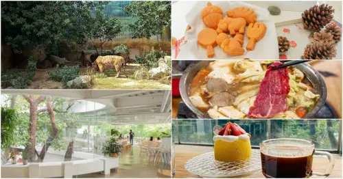 暑假兒童免費入園！新竹動物園周邊景點一日遊，親子出遊好吃又好玩。