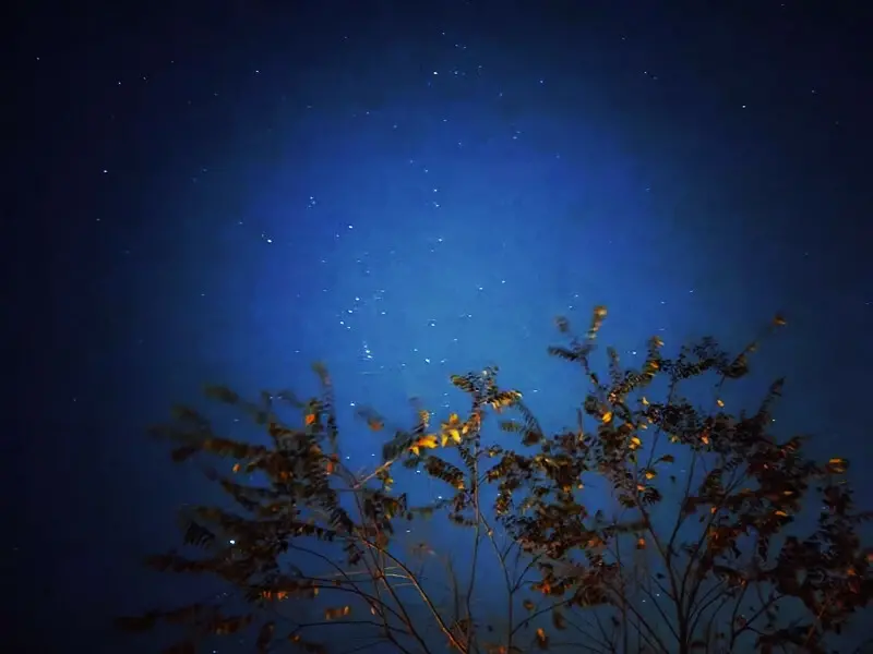 台中看夜景5大推薦！帶你從高空俯瞰城市燈火，享受台中的浪漫夜晚。