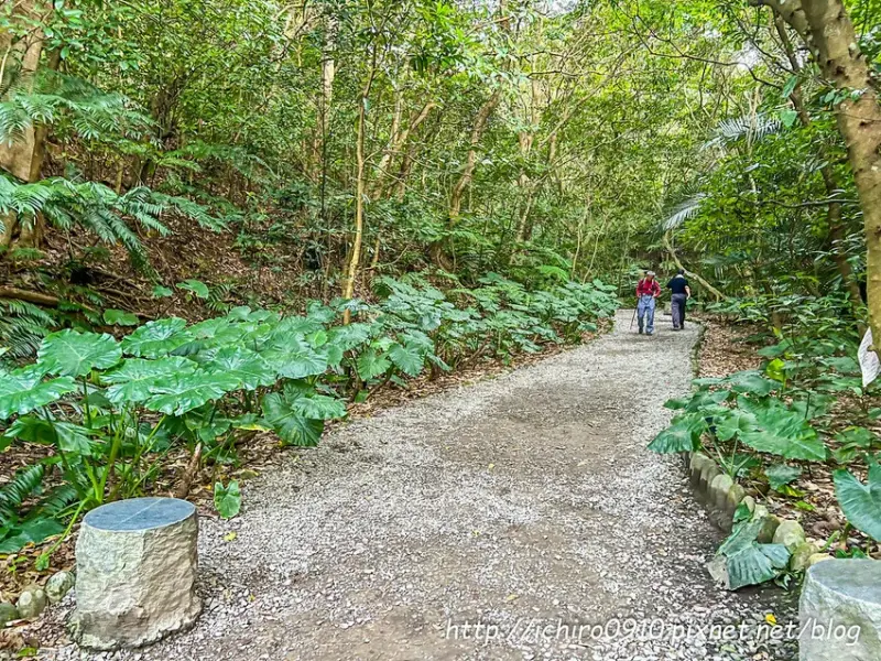 台北自然系約會景點推薦！河岸散步、登山夜景、同心水池，不花錢也很浪漫。 / 部落客「小風o」提供